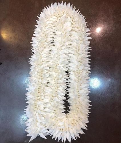 Dreams@Bharatanatyam Kunststoff, einzelne weiße Jasmin-Blume für Damen und Mädchen, 6,1 m lang von Generic