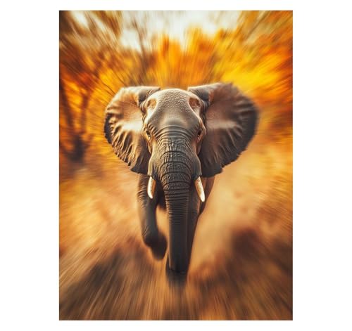 Elefant Malen Nach Zahlen Erwachsene Tier Malen Nach Zahlen 30 x 40CM DIY Basteln Erwachsene Klarheit Farbe Leinwan Bilder mit Acrylfarben Set 3 Typen Pinsel für Deko Wohnzimmer Geschenke YH2-2531 Elefant Malen Nach Zahlen Erwachsene Tier Malen Nach Zahlen 30 x 40CM DIY Basteln Erwachsene Klarheit Farbe Leinwan Bilder mit Acrylfarben Set 3 Typen Pinsel für Deko Wohnzimmer Geschenke YH2-2531 von Generic