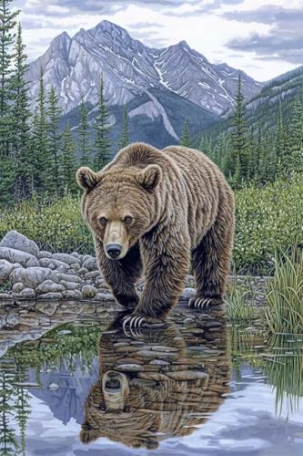 Erwachsene Diamond Painting DIY 5D Voll Bohren Set Berge Majestätische Grizzly Bild Diamant Gemälde Diamant Malerei Arts Craft Perfekt Für Entspannung Und Decor Quadratischer Diamant 100x150cm C1425 Erwachsene Diamond Painting DIY 5D Voll Bohren Set Berge Majestätische Grizzly Bild Diamant Gemälde Diamant Malerei Arts Craft Perfekt Für Entspannung Und Decor Quadratischer Diamant 100x150cm C1425 von Generic
