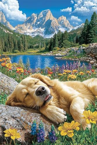 Erwachsene Diamond Painting DIY 5D Voll Bohren Set Blumen Golden Retriever Bild Diamant Gemälde Diamant Malerei Arts Craft Perfekt Für Entspannung Und Decor Quadratischer Diamant 90x135cm C1496 Erwachsene Diamond Painting DIY 5D Voll Bohren Set Blumen Golden Retriever Bild Diamant Gemälde Diamant Malerei Arts Craft Perfekt Für Entspannung Und Decor Quadratischer Diamant 90x135cm C1496 von Generic
