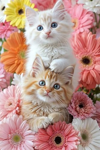 Erwachsene Diamond Painting DIY 5D Voll Bohren Set Blumen Katze Tier Bild Diamant Gemälde Diamant Malerei Arts Craft Perfekt Für Entspannung Und Wand Decor Quadratischer Diamant 50x75cm B1505 Erwachsene Diamond Painting DIY 5D Voll Bohren Set Blumen Katze Tier Bild Diamant Gemälde Diamant Malerei Arts Craft Perfekt Für Entspannung Und Wand Decor Quadratischer Diamant 50x75cm B1505 von Generic