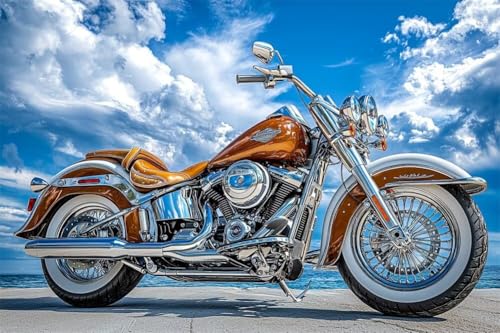 Erwachsene Diamond Painting DIY 5D Voll Bohren Set Motorradlandschaft Bild Diamant Gemälde Diamant Malerei Arts Craft Perfekt Für Entspannung Und Decor Quadratischer Diamant 80x120cm C1569 von Generic