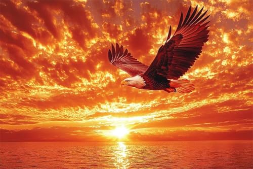 Erwachsene Diamond Painting DIY 5D Voll Bohren Set Sonnenuntergang Adler Schweben Bild Diamant Gemälde Diamant Malerei Arts Craft Perfekt Für Entspannung Und Decor Quadratischer Diamant 60x90cm C1621 Erwachsene Diamond Painting DIY 5D Voll Bohren Set Sonnenuntergang Adler Schweben Bild Diamant Gemälde Diamant Malerei Arts Craft Perfekt Für Entspannung Und Decor Quadratischer Diamant 60x90cm C1621 von Generic