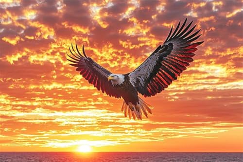 Erwachsene Diamond Painting DIY 5D Voll Bohren Set Sonnenuntergang Adler Schweben Bild Diamant Gemälde Diamant Malerei Arts Craft Perfekt Für Entspannung Und Decor Quadratischer Diamant 60x90cm C1620 von Generic