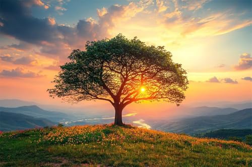 Erwachsene Diamond Painting DIY 5D Voll Bohren Set Sonnenuntergang Landschaft Baum Bild Diamant Gemälde Diamant Malerei Arts Craft Perfekt Für Entspannung Quadratischer Diamant 90x135cm C1625 Erwachsene Diamond Painting DIY 5D Voll Bohren Set Sonnenuntergang Landschaft Baum Bild Diamant Gemälde Diamant Malerei Arts Craft Perfekt Für Entspannung Quadratischer Diamant 90x135cm C1625 von Generic