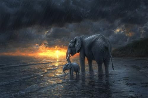 Erwachsene Diamond Painting DIY 5D Voll Bohren Set Strand Sonnenuntergang Elefant Bild Diamant Gemälde Diamant Malerei Arts Craft Perfekt Für Entspannung Und Decor Runder Diamant 40x60cm C0763 von Generic