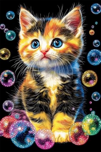 Erwachsene Diamond Painting DIY 5D Voll Bohren Set Süßes Buntes Kätzchen Bild Diamant Gemälde Diamant Malerei Arts Craft Perfekt Für Entspannung Und Wand Decor Quadratischer Diamant 20x30cm B1344 Erwachsene Diamond Painting DIY 5D Voll Bohren Set Süßes Buntes Kätzchen Bild Diamant Gemälde Diamant Malerei Arts Craft Perfekt Für Entspannung Und Wand Decor Quadratischer Diamant 20x30cm B1344 von Generic