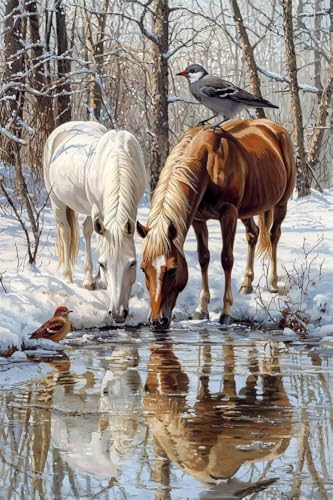 Erwachsene Diamond Painting DIY 5D Voll Bohren Set Winter Schnee Pferd Bild Diamant Gemälde Diamant Malerei Arts Craft Perfekt Für Entspannung Und Decor Quadratischer Diamant 100x150cm C1416 von Generic