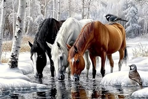 Erwachsene Diamond Painting DIY 5D Voll Bohren Set Winter Schnee Pferd Bild Diamant Gemälde Diamant Malerei Arts Craft Perfekt Für Entspannung Und Decor Quadratischer Diamant 20x30cm C1631 von Generic