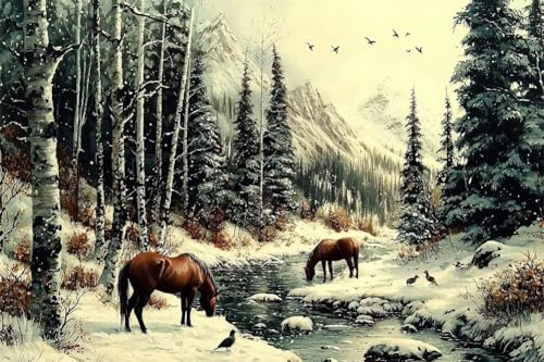 Erwachsene Diamond Painting DIY 5D Voll Bohren Set Winter Schnee Pferd Bild Diamant Gemälde Diamant Malerei Arts Craft Perfekt Für Entspannung Und Decor Quadratischer Diamant 20x30cm C1633 von Generic