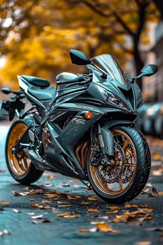 Erwachsene und Anfänger Diamond Painting DIY 5D Voll Bohren Set Cooles Sportmotorrad Bild Diamant Gemälde Diamant Malerei Arts Craft Perfekt Für Entspannung Und Decor Runder Diamant 30x45cm C0389 Erwachsene und Anfänger Diamond Painting DIY 5D Voll Bohren Set Cooles Sportmotorrad Bild Diamant Gemälde Diamant Malerei Arts Craft Perfekt Für Entspannung Und Decor Runder Diamant 30x45cm C0389 von Generic