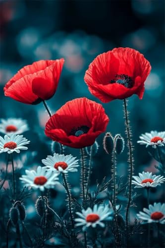 Erwachsene und Anfänger Diamond Painting DIY 5D Voll Bohren Set Eleganter Mohn Bild Diamant Gemälde Diamant Malerei Arts Craft Perfekt Für Entspannung Und Decor Quadratischer Diamant 20x30cm C1479 von Generic