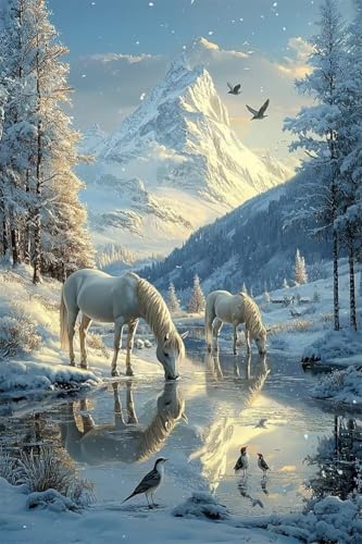 Erwachsene und Anfänger Diamond Painting DIY 5D Voll Bohren Set Schneeszene Pferd Bild Diamant Gemälde Diamant Malerei Arts Craft Perfekt Für Entspannung Und Decor Quadratischer Diamant 50x75cm C1493 Erwachsene und Anfänger Diamond Painting DIY 5D Voll Bohren Set Schneeszene Pferd Bild Diamant Gemälde Diamant Malerei Arts Craft Perfekt Für Entspannung Und Decor Quadratischer Diamant 50x75cm C1493 von Generic