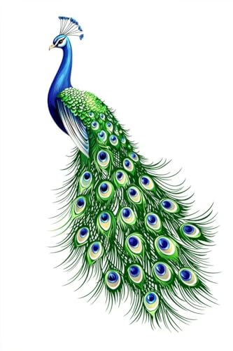 Erwachsene und Anfänger Diamond Painting DIY 5D Voll Bohren Set Schöner Grüner Pfau Bild Diamant Gemälde Diamant Malerei Arts Craft Perfekt Für Entspannung Und Wand Decor Runder Diamant 20x30cm C0382 von Generic