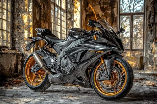Erwachsene und Anfänger Diamond Painting DIY 5D Voll Bohren Set Sportmotorrad Bild Diamant Gemälde Diamant Malerei Arts Craft Perfekt Für Entspannung Und Decor Quadratischer Diamant 70x105cm C1587 Erwachsene und Anfänger Diamond Painting DIY 5D Voll Bohren Set Sportmotorrad Bild Diamant Gemälde Diamant Malerei Arts Craft Perfekt Für Entspannung Und Decor Quadratischer Diamant 70x105cm C1587 von Generic