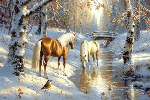 Erwachsene und Anfänger Diamond Painting DIY 5D Voll Bohren Set Winterteichpferd Bild Diamant Gemälde Diamant Malerei Arts Craft Perfekt Für Entspannung Und Decor Quadratischer Diamant 40x60cm C1503 Erwachsene und Anfänger Diamond Painting DIY 5D Voll Bohren Set Winterteichpferd Bild Diamant Gemälde Diamant Malerei Arts Craft Perfekt Für Entspannung Und Decor Quadratischer Diamant 40x60cm C1503 von Generic