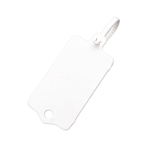 Etiketten aus Kunststoff, wiederverwendbar, Etiketten aus Kunststoff, wiederverwendbar, Versand-Tags, blanko, mit Schlüsseletiketten, wasserdicht, mit Schnalle Etiketten aus Kunststoff, wiederverwendbar, Etiketten aus Kunststoff, wiederverwendbar, Versand-Tags, blanko, mit Schlüsseletiketten, wasserdicht, mit Schnalle von Generic