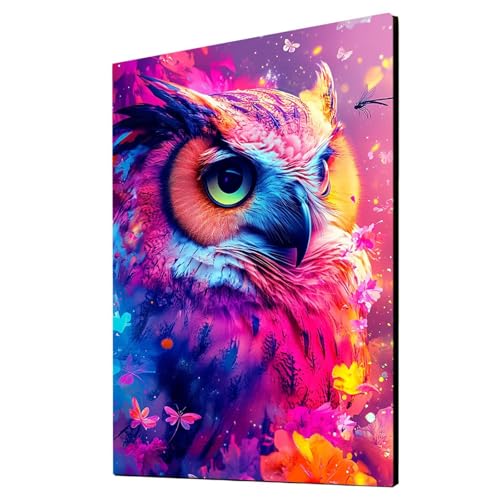 Eule Malen Nach Zahlen Erwachsene Tier Malen Nach Zahlen 80x60CM DIY Basteln Erwachsene Klarheit Farbe Leinwan Bilder mit Acrylfarben Set 3 Typen Pinsel für Wanddeko Wohnzimmer, Geschenke 2YH-3116 Eule Malen Nach Zahlen Erwachsene Tier Malen Nach Zahlen 80x60CM DIY Basteln Erwachsene Klarheit Farbe Leinwan Bilder mit Acrylfarben Set 3 Typen Pinsel für Wanddeko Wohnzimmer, Geschenke 2YH-3116 von Generic