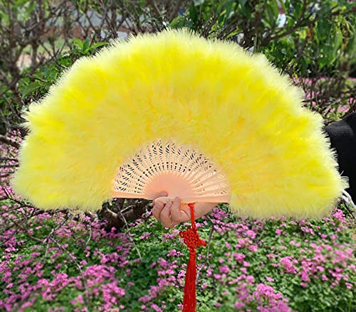Faltfächer Handfaecher Federfächer Faltfächer Klappfächer Vintage Hochzeit Federfächer Spitzenfächer für Hochzeit Geschenk Sommer Party Fasching Kostüm Accessoire Faltfächer Handfaecher Federfächer Faltfächer Klappfächer Vintage Hochzeit Federfächer Spitzenfächer für Hochzeit Geschenk Sommer Party Fasching Kostüm Accessoire von Generic