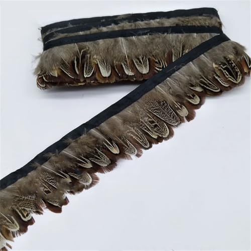 Fasan-Federgürtel, Federbesatz, Fransen, Federbesatz für Kleid/Weihnachten, schwarz, 4–8 cm, 9,1 m Fasan-Federgürtel, Federbesatz, Fransen, Federbesatz für Kleid/Weihnachten, schwarz, 4–8 cm, 9,1 m von Generic