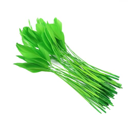 Fascinatoren, lange Gänsefedern, gestreift, Coque-Federn, Hüte, Besätze, buntes Bastelzubehör, EN8, 50 Stück, 50 Stück Fascinatoren, lange Gänsefedern, gestreift, Coque-Federn, Hüte, Besätze, buntes Bastelzubehör, EN8, 50 Stück, 50 Stück von Generic