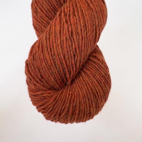 Feines Merinowollgarn für Pullover, Decken und Accessoires, 100 % reine Wolle (#07, insgesamt 2 Knäuel 100 g) von Generic