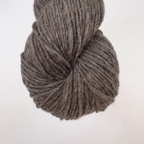 Feines Merinowollgarn für Pullover, Decken und Accessoires, 100 % reine Wolle (Nr. 10, 2 Knäuel insgesamt 100 g) von Generic