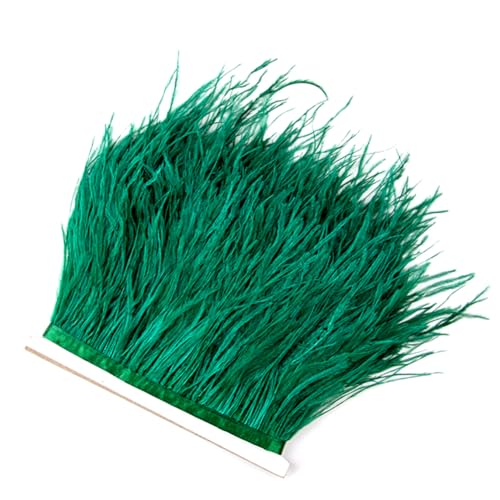 Flauschige Straußenfeder-Bordüre, Fransen, 8–10 cm, natürliche Dekoration für Hochzeit, Party, Kleid, Zubehör, dunkel, EN8 23, 1 m Flauschige Straußenfeder-Bordüre, Fransen, 8–10 cm, natürliche Dekoration für Hochzeit, Party, Kleid, Zubehör, dunkel, EN8 23, 1 m von Generic