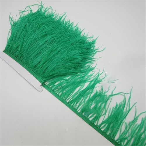 Flauschiger Straußenhaar-Besatz für Kleidung, Seitenband, 5/10 m lang, DIY, Urlaub, Party, Schmuck, Zubehör, 10–15 cm, EN8, 9,1 m Flauschiger Straußenhaar-Besatz für Kleidung, Seitenband, 5/10 m lang, DIY, Urlaub, Party, Schmuck, Zubehör, 10–15 cm, EN8, 9,1 m von Generic