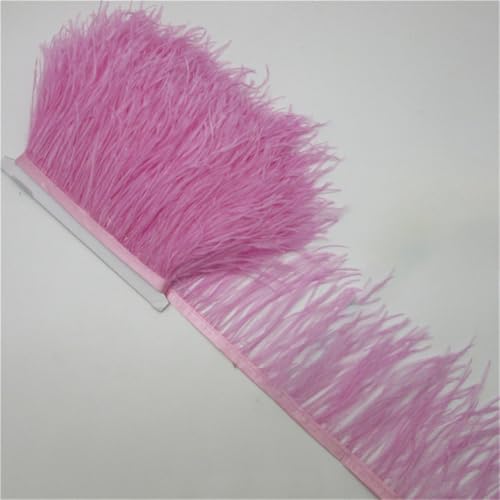 Flauschiger Straußenhaar-Besatz für Kleidung, Seitenband, 5/10 m lang, DIY, Urlaub, Party, Schmuck, Zubehör, 10–15 cm, Hellrosa, 4,5 m Flauschiger Straußenhaar-Besatz für Kleidung, Seitenband, 5/10 m lang, DIY, Urlaub, Party, Schmuck, Zubehör, 10–15 cm, Hellrosa, 4,5 m von Generic
