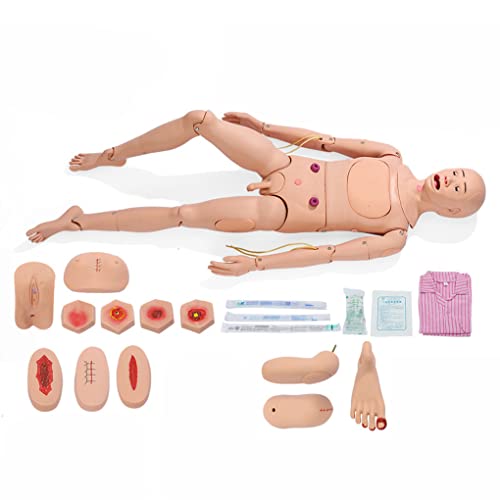 Fortschrittlicher, voll funktionsfähiger Krankenpflege-Trainingssimulator, austauschbares Körpermodell für Männer und Fr von Generic