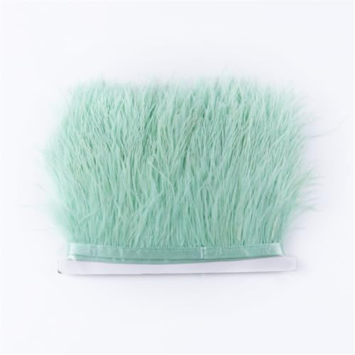 Gefärbte Straußenfederborten Fransen 6-8 cm Hochzeit Federkleider Nähzubehör Straußenfeder Spitze Mint EN8 10 Meter Gefärbte Straußenfederborten Fransen 6-8 cm Hochzeit Federkleider Nähzubehör Straußenfeder Spitze Mint EN8 10 Meter von Generic