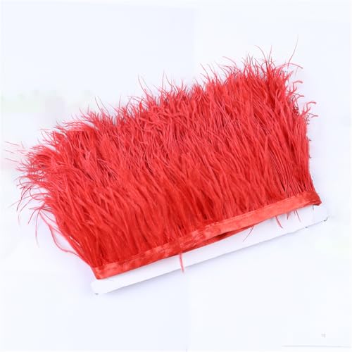 Gefärbte Straußenfederborten Fransen 6-8 cm Hochzeit Federkleider Nähzubehör Straußenfederspitze 03 Rot 5 Meter Gefärbte Straußenfederborten Fransen 6-8 cm Hochzeit Federkleider Nähzubehör Straußenfederspitze 03 Rot 5 Meter von Generic