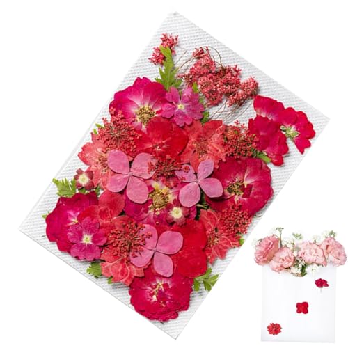 Gepresste Blumenaufkleber, 35 Stück botanische Aufkleber ästhetisch, Pflanzenaufkleber für Journaling, Scrapbook-Aufkleber und Zubehör für Journalplaner, Laptops, Nägel Gepresste Blumenaufkleber, 35 Stück botanische Aufkleber ästhetisch, Pflanzenaufkleber für Journaling, Scrapbook-Aufkleber und Zubehör für Journalplaner, Laptops, Nägel von Generic