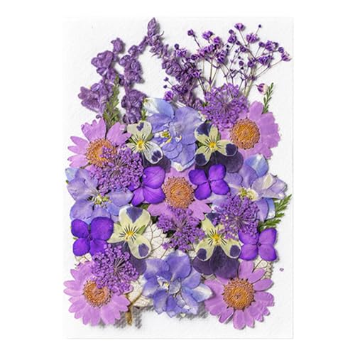 Getrocknete Blumen Aufkleber - 35 Stück Tagebuch botanische Pflanzenaufkleber Ästhetische Aufkleber | Gepresste Blumen Ästhetische Kunst Trockenblumen Muster Scrapbooking Aufkleber Getrocknete Blumen Aufkleber - 35 Stück Tagebuch botanische Pflanzenaufkleber Ästhetische Aufkleber | Gepresste Blumen Ästhetische Kunst Trockenblumen Muster Scrapbooking Aufkleber von Generic