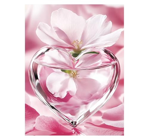 Glas Malen Nach Zahlen Erwachsene Blume Malen Nach Zahlen 100x135CM DIY Basteln Erwachsene Klarheit Farbe Leinwan Bilder mit Acrylfarben Set 3 Typen Pinsel für Wanddeko Wohnzimmer, Geschenke YH2-2301 Glas Malen Nach Zahlen Erwachsene Blume Malen Nach Zahlen 100x135CM DIY Basteln Erwachsene Klarheit Farbe Leinwan Bilder mit Acrylfarben Set 3 Typen Pinsel für Wanddeko Wohnzimmer, Geschenke YH2-2301 von Generic