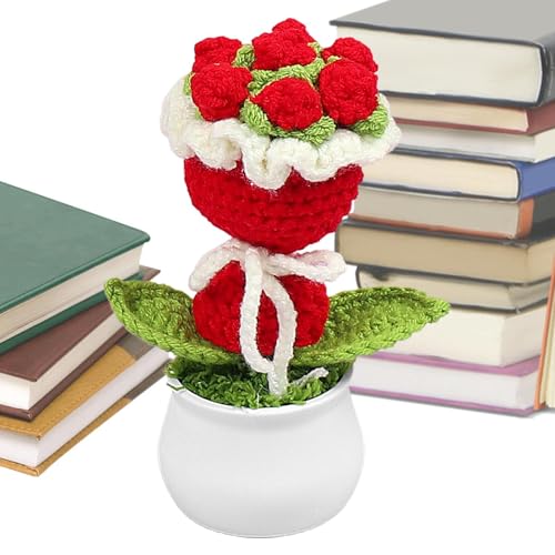Häkelblumen - Topfblumenstrauß handgefertigt | Gestrickte Häkelpflanze, süßes Schreibtischdekor-Geschenk für Frauen, Mutter, Ehefrau zum Muttertag, Valentinstag Häkelblumen - Topfblumenstrauß handgefertigt | Gestrickte Häkelpflanze, süßes Schreibtischdekor-Geschenk für Frauen, Mutter, Ehefrau zum Muttertag, Valentinstag von Generic
