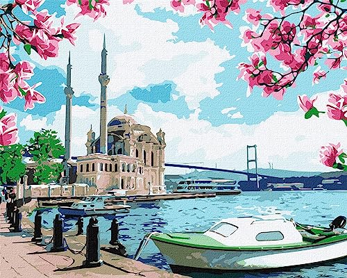 IDEYKA Malen nach Zahlen Helles Istanbul 40x50 Landschaft mit Holzrahmen von Ideyka