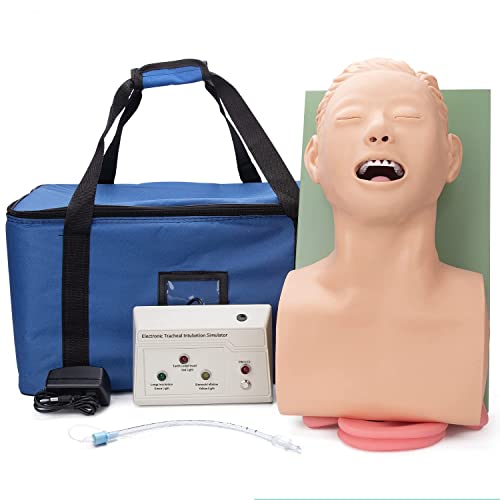 Intubationspuppenmodell für Erwachsene, Intubationspuppen-Lehrmodell, Oral-/Trachealintubationssimulation, Atemwegsmanag von Generic