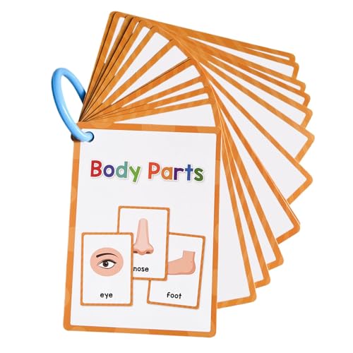 Karteikarten Körperteile Englisch Vokabeln Lernwerkzeuge für kleine Kinder Taschen- Vokabeln Karteikarten Lernkarten Englisch Lernkarten Karteikarten Körperteile Englisch Vokabeln Lernwerkzeuge für kleine Kinder Taschen- Vokabeln Karteikarten Lernkarten Englisch Lernkarten von Generic