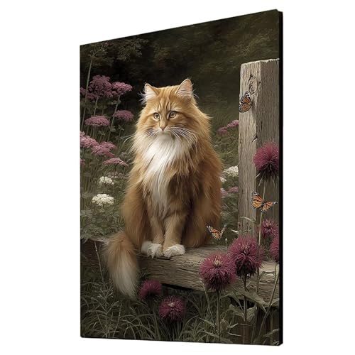 Katze Malen Nach Zahlen Erwachsene Schmetterling Malen Nach Zahlen 40 x 30 CM DIY Basteln Erwachsene Klarheit Farbe Leinwan Bilder mit Acrylfarben Set 3 Typen Pinsel für Wanddeko Wohnzimmer 2YH-2832 von Generic