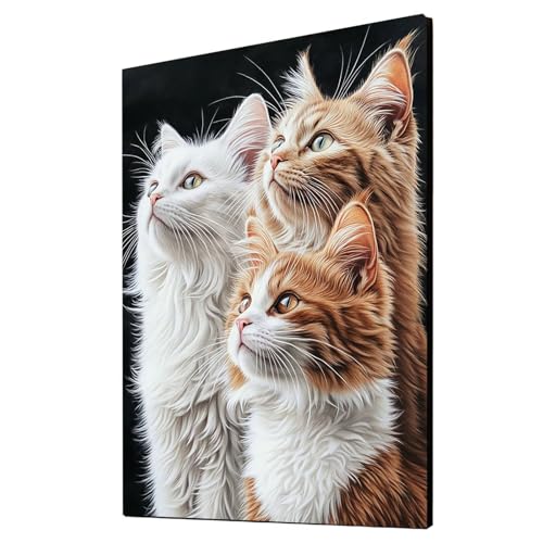 Katze Malen Nach Zahlen Erwachsene Tier Malen Nach Zahlen 110x80 cm DIY Basteln Erwachsene Klarheit Farbe Leinwan Bilder mit Acrylfarben Set 3 Typen Pinsel für Wanddeko Wohnzimmer, Geschenke 2YH-4638 von Generic
