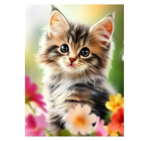 Katze Malen Nach Zahlen Erwachsene Tier Malen Nach Zahlen 40 x 30 CM DIY Basteln Erwachsene Klarheit Farbe Leinwan Bilder mit Acrylfarben Set 3 Typen Pinsel für Wanddeko Wohnzimmer, Geschenke YH2-3750 Katze Malen Nach Zahlen Erwachsene Tier Malen Nach Zahlen 40 x 30 CM DIY Basteln Erwachsene Klarheit Farbe Leinwan Bilder mit Acrylfarben Set 3 Typen Pinsel für Wanddeko Wohnzimmer, Geschenke YH2-3750 von Generic