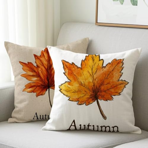 Kissenbezug 40x40 cm Outdoor Kissen Süßes Ahornblatt Sofakissen 2er Set Kissenbezug Samtstoff Kissenbezüge Ahornblatt Kissenhülle Deko Couchkissen für Garten Schlafzimmer Terrasse Herbst Dekor M-543 Kissenbezug 40x40 cm Outdoor Kissen Süßes Ahornblatt Sofakissen 2er Set Kissenbezug Samtstoff Kissenbezüge Ahornblatt Kissenhülle Deko Couchkissen für Garten Schlafzimmer Terrasse Herbst Dekor M-543 von Generic