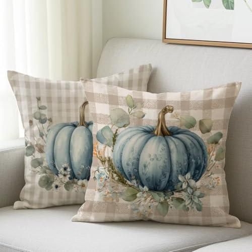Kissenbezug 45x45 cm Outdoor Kissen Blauer Kürbis Sofakissen 2er Set Kissenbezug Samtstoff Kissenbezüge Kürbis Kissenhülle Zierkissen Deko Couchkissen für Garten Schlafzimmer Balkon Herbst Dekor M-547 Kissenbezug 45x45 cm Outdoor Kissen Blauer Kürbis Sofakissen 2er Set Kissenbezug Samtstoff Kissenbezüge Kürbis Kissenhülle Zierkissen Deko Couchkissen für Garten Schlafzimmer Balkon Herbst Dekor M-547 von Generic