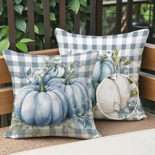 Kissenbezug 60x60 cm Outdoor Kissen Blauer Kürbis Sofakissen 2er Set Kissenbezug Samtstoff Kissenbezüge Kürbis Kissenhülle Zierkissen Deko Couchkissen für Garten Schlafzimmer Balkon Herbst Dekor M-887 Kissenbezug 60x60 cm Outdoor Kissen Blauer Kürbis Sofakissen 2er Set Kissenbezug Samtstoff Kissenbezüge Kürbis Kissenhülle Zierkissen Deko Couchkissen für Garten Schlafzimmer Balkon Herbst Dekor M-887 von Generic