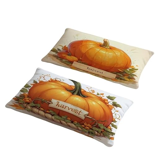 Kissenbezug 60x90 cm Outdoor Kissen Süßer Kürbis Sofakissen 2er Set Kissenbezug Samtstoff Kissenbezüge Kürbis Kissenhülle Zierkissen Deko Couchkissen für Garten Schlafzimmer Balkon Herbst Dekor w-205 Kissenbezug 60x90 cm Outdoor Kissen Süßer Kürbis Sofakissen 2er Set Kissenbezug Samtstoff Kissenbezüge Kürbis Kissenhülle Zierkissen Deko Couchkissen für Garten Schlafzimmer Balkon Herbst Dekor w-205 von Generic