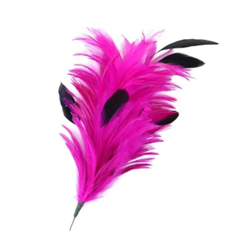 Kopfschmuck zum Selbermachen, Feder, Blume, natürliche Gänsefedern, gefärbt, bunt, Hochzeitsschmuck, Heimparty, Zubehör, Basteln, Rose, 1 25–30 cm von Generic