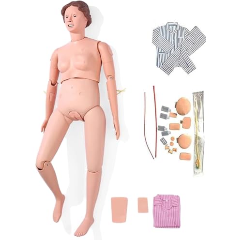 Krankenpflege-Trainingspuppe, weibliche Patientenpflegepuppe, 165 cm, weibliches Patientenmodell, Pflegepuppe, Demonstration, multifunktionaler Puppenkörper mit 24 Elementen, grundlegende Be Krankenpflege-Trainingspuppe, weibliche Patientenpflegepuppe, 165 cm, weibliches Patientenmodell, Pflegepuppe, Demonstration, multifunktionaler Puppenkörper mit 24 Elementen, grundlegende Be von Generic
