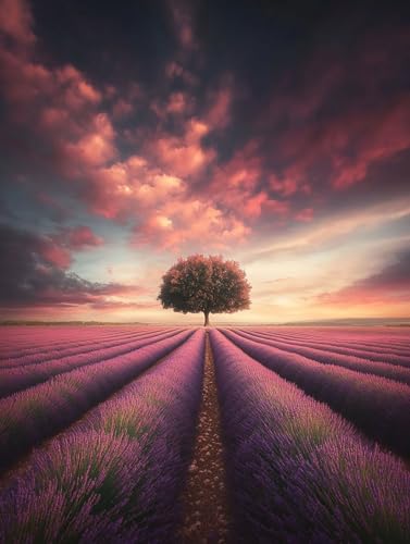 Lavendel Diamond Painting Erwachsene Groß XXL 100x135cm, 5D Diamant Painting Bilder Baum Muster DIY Bastel Erwachsene Anfänger Mosaik Set für Zimmer Wohnzimmer Wand Deko Aesthetic, Geschenke 5IGZ-OX von Generic